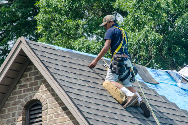 Roof Repair Estimates in Saltillo, MS